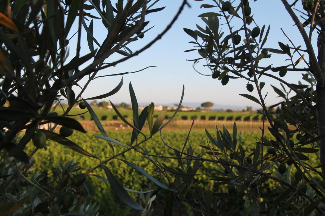 Agrihotel Elisabetta Collemezzano المظهر الخارجي الصورة