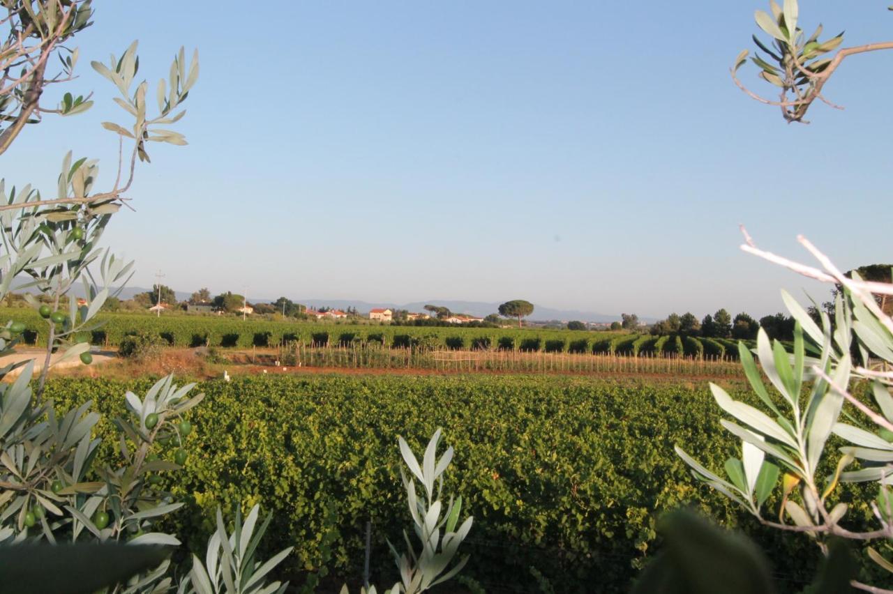 Agrihotel Elisabetta Collemezzano المظهر الخارجي الصورة