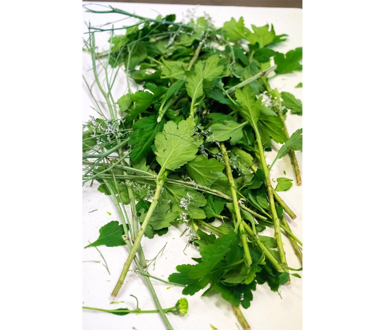 Agrihotel Elisabetta Collemezzano المظهر الخارجي الصورة